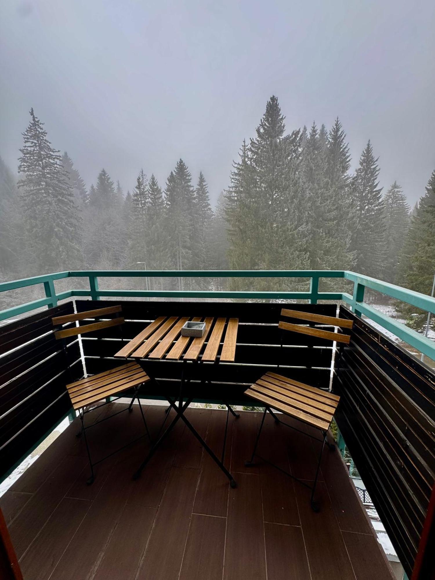Luxury Silver Mountain Apartment Poiana Brasov Exteriör bild